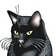 abm_id=20498